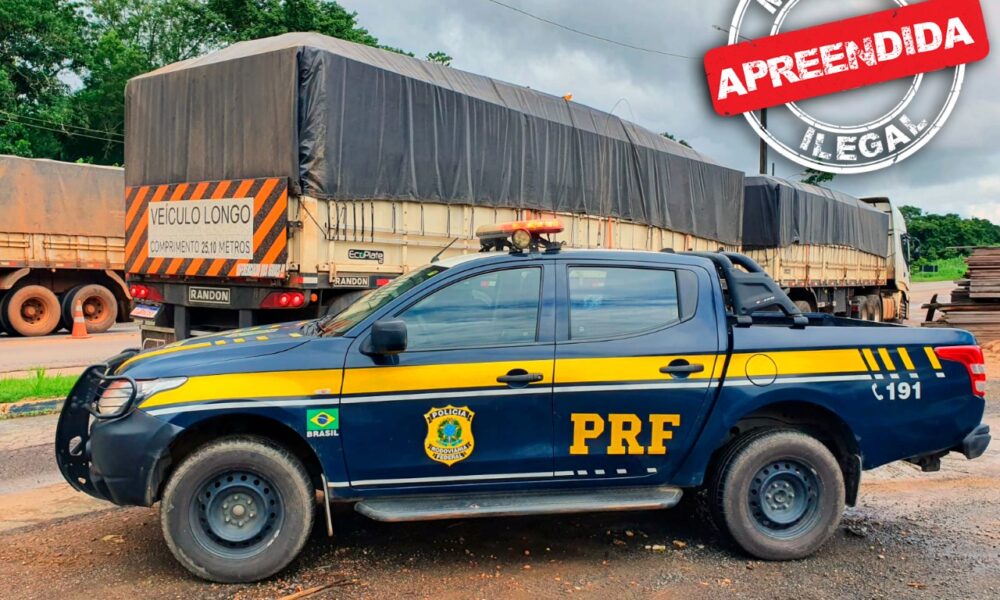 Em Ji-Paraná/RO, PRF identifica transporte irregular de madeira thumbnail
